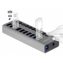 Delock 63670 USB Hub 10 portů USB-A USB 3.1 Gen1 5 GBit/s s konektorem USB C šedá 63670