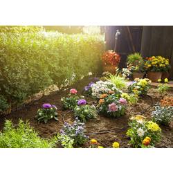 GARDENA Systém Micro-Drip 13010-20 základní sada pro rostliny v řadě S 4,6 mm Délka hadice: 15 m