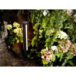 Heitronic 35834 LILIA LED stojací lampa LED pevně vestavěné LED 11 W antracitová