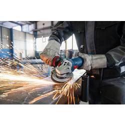 Bosch Professional GWS 12-125 06013A6106 úhlová bruska 125 mm