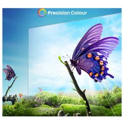Hisense 65A6N LED TV, 164 cm 65 palec, E (A - G), DVB-T2, DVB-C, DVB-S2, UHD, Smart TV, WLAN, černá