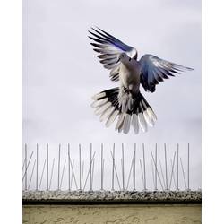 Gardigo Bird Repellent Spikes, 60079INT, hřebíky na ochranu proti holubům 10 ks, funkce: odstrašení