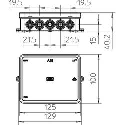 OBO Bettermann 2000410 odbočná krabice (d x š) 100 mm x 125 mm 1 ks