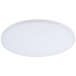 Paulmann Velora 79896 LED stropní svítidlo 32 W teplá až studená bílá bílá