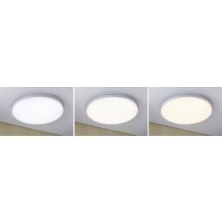 Paulmann Velora 79896 LED stropní svítidlo 32 W teplá až studená bílá bílá