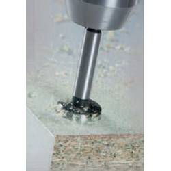 Alpen 0023902200100 Foersterův vrták, čelní fréza 22 mm Celková délka 90 mm válcová stopka 1 ks