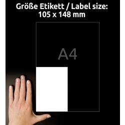 Avery-Zweckform L4719-20 Fóliové etikety 105 x 148 mm poylesterová fólie bílá 80 ks trvalé barevná laserová tiskárna, laserová tiskárna, barevná kopírka,