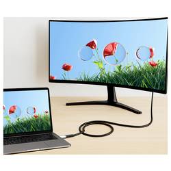 LogiLink Kabel USB-C USB 3.2 Gen2x2 USB-C ® zástrčka 0.30 m černá s LED, 4K UHD, oboustranně zapojitelná zástrčka CU0430