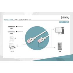 Digitus DK-1617-030S RJ45 síťové kabely, propojovací kabely CAT 6 U/UTP 3.00 m šedá bez halogenů, samozhášecí, flexibilní provedení, nestíněný 1 ks