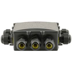 Boxexpert BXPJSGH686-10 odbočná krabice odolný proti povětrnostním vlivům (š x v) 183 mm x 136 mm 1 ks