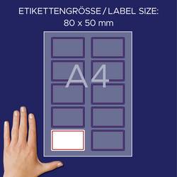 Avery-Zweckform L4786-20 štítek se jménem Kennzeichnungsetiketten (š x v) 85 mm x 50 mm 200 ks