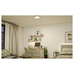 Paulmann Abia 71303 LED panel 14 W teplá bílá chrom (matný)