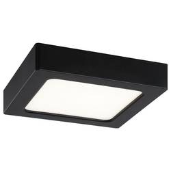 Paulmann Abia 71296 LED panel 9.5 W teplá bílá černá