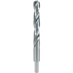 RUKO 2004195 DIN 338 Typ N HSS-G spirálový vrták 205 mm Celková délka 19.5 mm DIN 338 1 ks