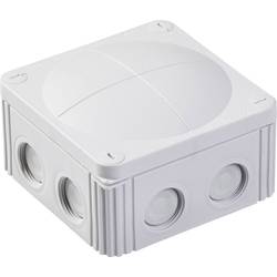 Wiska 10060532 rozbočovací krabice (d x š x v) 110 x 110 x 66 mm světle šedá IP66 / IP67 1 ks