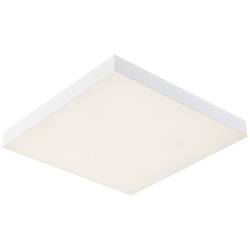 Paulmann Velora Rainbow 79904 LED stropní svítidlo 13.20 W teplá bílá bílá