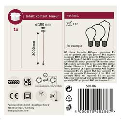 Paulmann Eldar 50386 stropní svítidlo LED E27 červená, niklová (kartáčovaná)