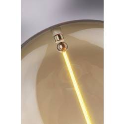 Paulmann 29186 LED E27 kulatý tvar 2.8 W (Ø x v) 95 mm x 138 mm 1 ks