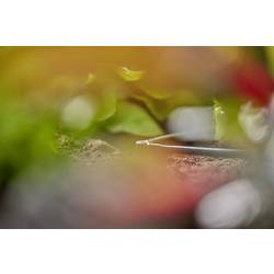 GARDENA Systém Micro-Drip 13212-20 L-kus 4,6 mm