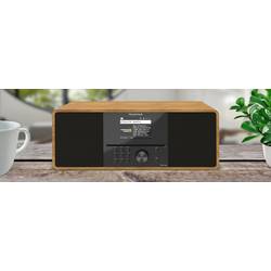 Telestar TOP 300 Holz 5701300 rádio CD, internetové, DAB+, FM, USB, Wi-Fi, internet, DAB+, CD, Bluetooth, AUX, vč. dálkového ovládání, dřevo