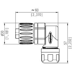 Amphenol C016 20F003 100 10 kulatý faston, 1 ks