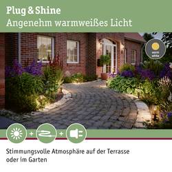 Paulmann Poller Classic 94322 Osvětlovací systém Plug&Shine 2 W antracitová