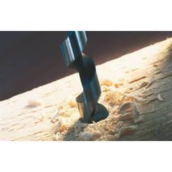 Bosch Accessories 2608585696 hadovitý vrták 8 mm Celková délka 160 mm šestihran 1 ks