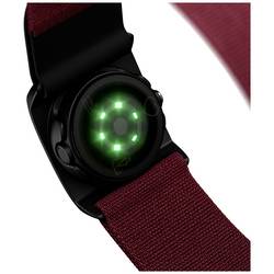 Polar Verity Sense OHR Sensor Senzor tepové frekvence Velikost XS-XXL=L tmavě červená