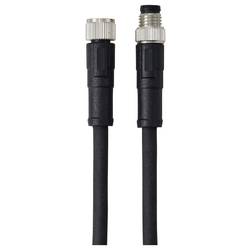 TRU COMPONENTS Přívodní kabel, TC-13752004, piny: 4, 5 m, 1 ks