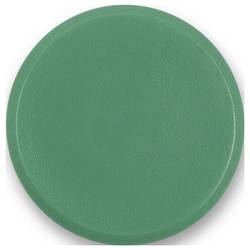 magnetoplan magnet Basic Serie (Ø) 24 mm kulatý zelená 10 ks 1862405