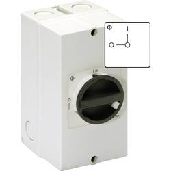 Kraus & Naimer KG64.T103/40.KL11V servisní vypínač odblokovatelný 63 A 1 x 90 ° černá 1 ks
