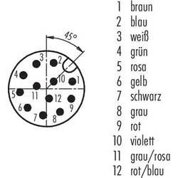 binder 76 0231 0111 00012-0200 neupravený zástrčkový konektor pro senzory - aktory, 76 0231 0111 00012-0200-20, piny: 12, 1 ks