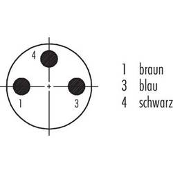 binder 77 3403 0000 50003-0500 upravený zástrčkový konektor pro senzory - aktory, 77 3403 0000 50003-0500-20, piny: 3, 5 m, 1 ks