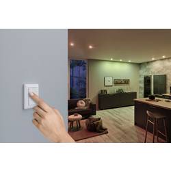 5181 smik Gateway + EBL Nova RGBW Paulmann Home sada Smart Home System 15.6 W teplá bílá až denní bílá, RGBW železo (kartáčované)