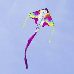 Ecoline jednošňůrový drak Simple Flyer Pegasus Rozpětí 1200 mm Vhodnost pro sílu větru 2 - 5 bft