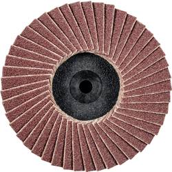 PFERD TOOLS 47202529 CDR PFF 50 A 120 vějířovitý brusný kotouč Průměr 50 mm Zrnitost 120 bronz, titan, Slitina titanu, měď, mosaz, nerezová ocel, Šedá / tvárná
