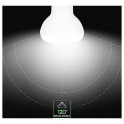 V-TAC 211386 LED Energetická třída (EEK2021) F (A - G) E14 4.8 W = 40 W teplá bílá 1 ks