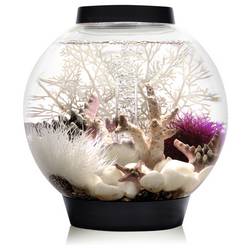 Oase 71999 biOrb CLASSIC 15 LED schwarz akvárium 15 l s LED osvětlením