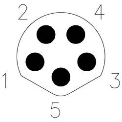 TRU COMPONENTS Přívodní kabel, TC-13751976, piny: 5, 0.2 m, 1 ks