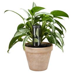 Fiskars 1075380 Zavlažovací prvek 350 ml 1 ks