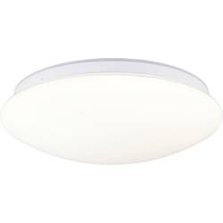 Paulmann 75407 Leonis II Dämmerungsgesteuerter Bewegungsmelder (HF) stropní svítidlo LED pevně vestavěné LED 16.5 W bílá