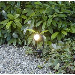 Heitronic PASAS 500031 venkovní LED reflektor pevně vestavěné LED 6 W LED antracitová