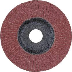 PFERD TOOLS 67604125 A Sg Steelox vějířovitý brusný kotouč Průměr 125 mm Ø otvoru 22.23 mm Zrnitost 40 10 ks