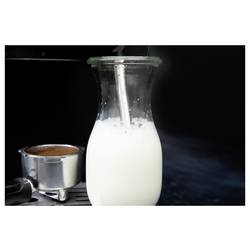 Gastronoma 18110002 Kávovar černá připraví šálků najednou=2 s tryskou pro napěnění mléka, s tlakovým mechanizmem