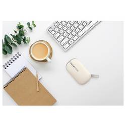 Asus ASUS MD100 Maus, beige optická myš, přenos bezdrátový, 3 tlačítko, 1600 dpi, béžová