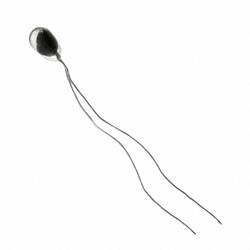 Honeywell SPS 112-103FAJ-B01 teplotní čidlo