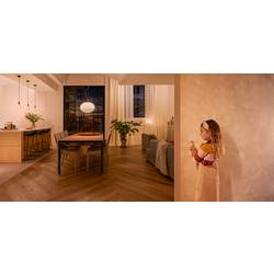 Philips Hue Hue nástěnný spínač , modul 871951431802100 Hue Wandschalter Modul Doppelpack