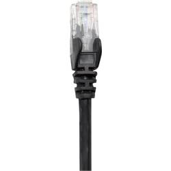 Intellinet 318754 RJ45 síťové kabely, propojovací kabely CAT 6A S/FTP 0.50 m černá jednoduché stínění, kompletní stínění, bez halogenů 1 ks