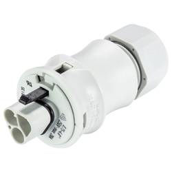 Wieland Electric 96.132.0053.0 konektor