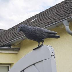 Gardigo 60093INT, havran na ochranu proti holubům 1 ks, funkce: odstrašení